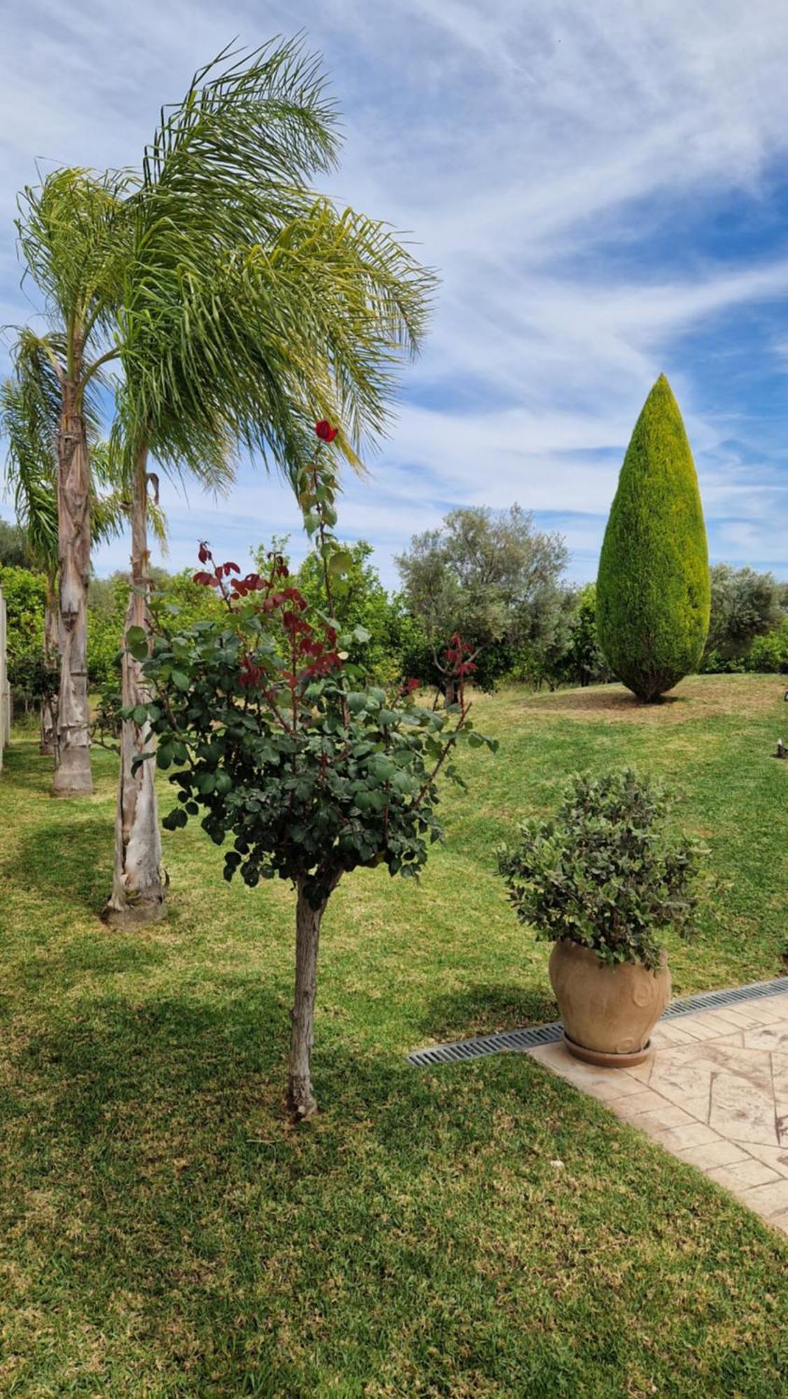 Dimitris Villa Aigio Esterno foto